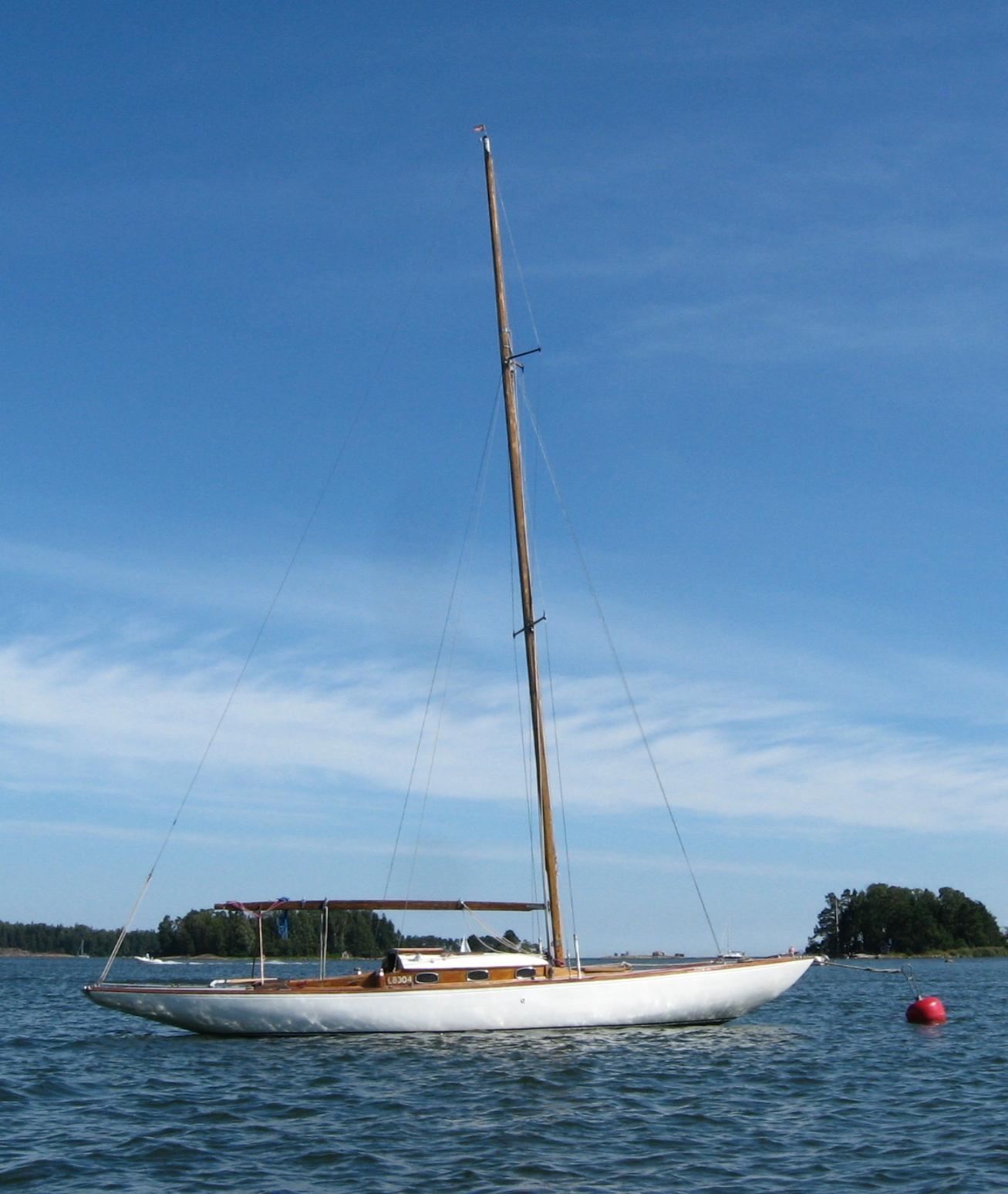 Viking Blåtunga L-4